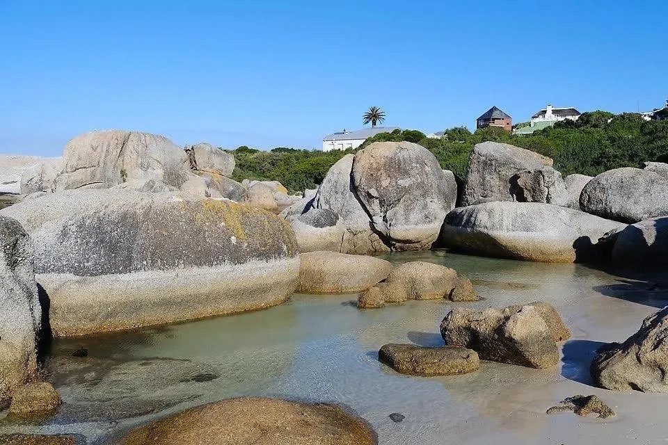 Daire Penguin Haven . Luxury 2 Bedroom, Boulders Beach. Cape Town Güney Afrika